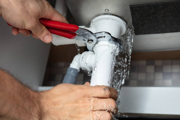  Raoul, GA Water damage restoration Pros