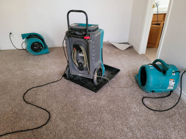 Best Water damage contractors near me  in Raoul, GA