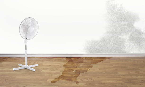 Best Residential water damage restoration  in Raoul, GA