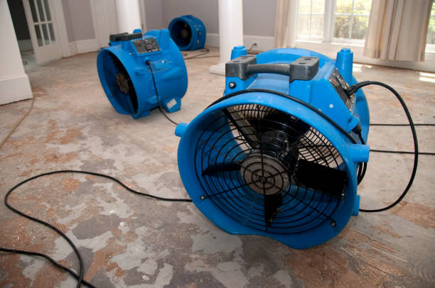 Best Local water damage restoration  in Raoul, GA
