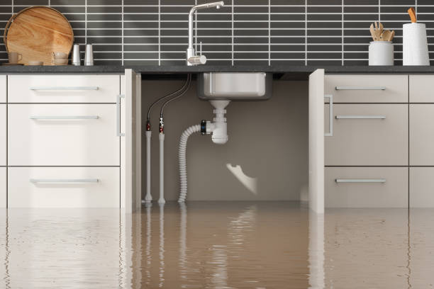 Water damage restoration mold remediation in Raoul, GA